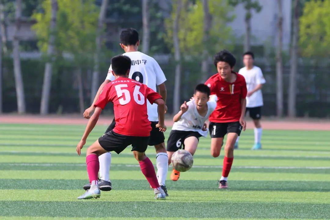 各类关于特