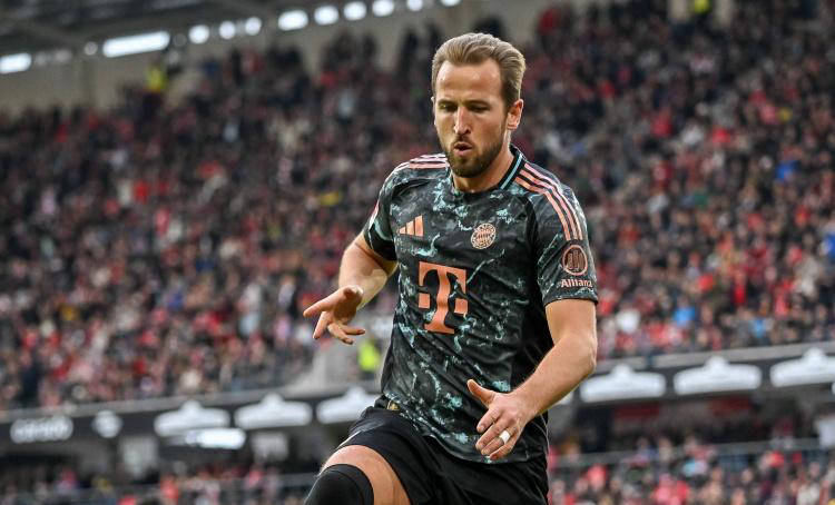 迷奉献了高 迷奉献了高